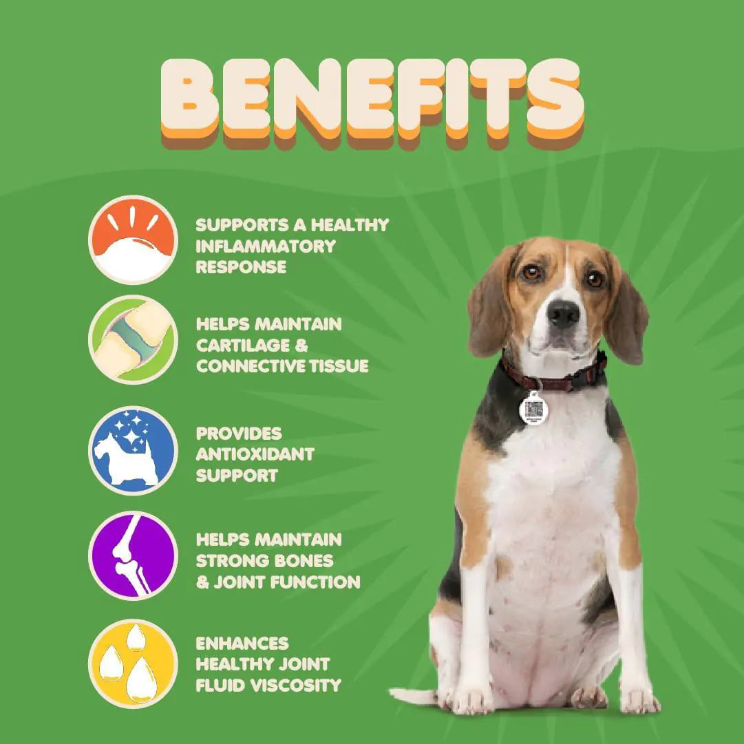 FlexiPaws+ | Natural Hip & Joint Supplement for Dogs with Glucosamine & Turmeric