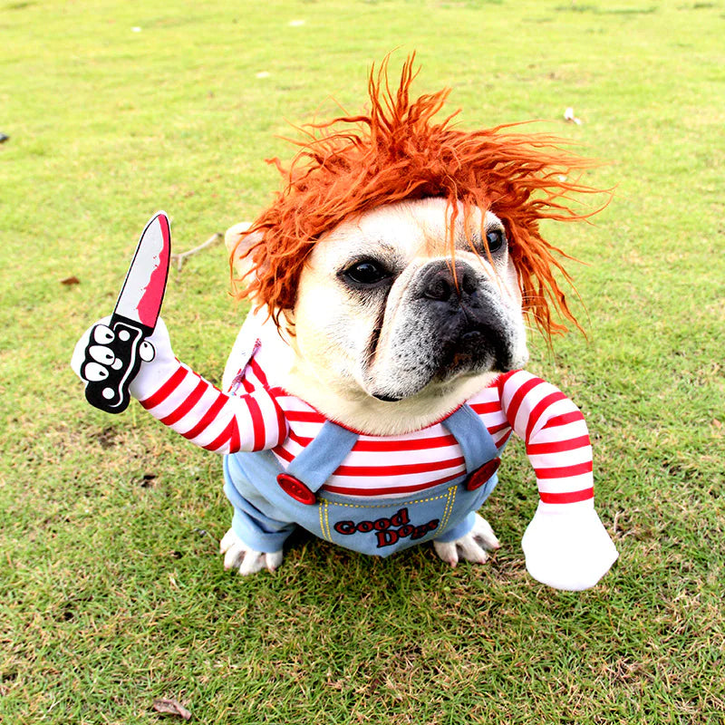 Halloween Dog Costume | Adjustable Funny & Spooky Outfit for Pets