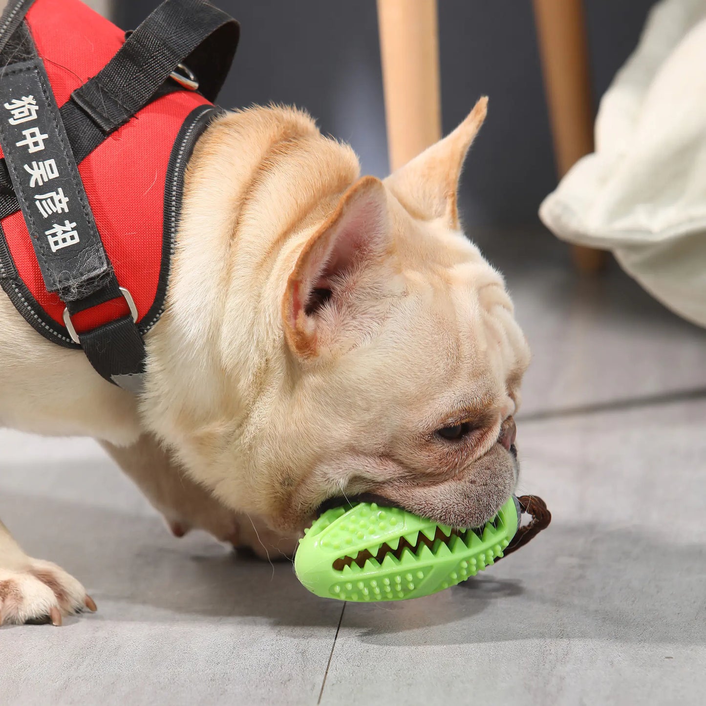 Interactive Dog Food Leakage Toy | Elastic Rubber Ball