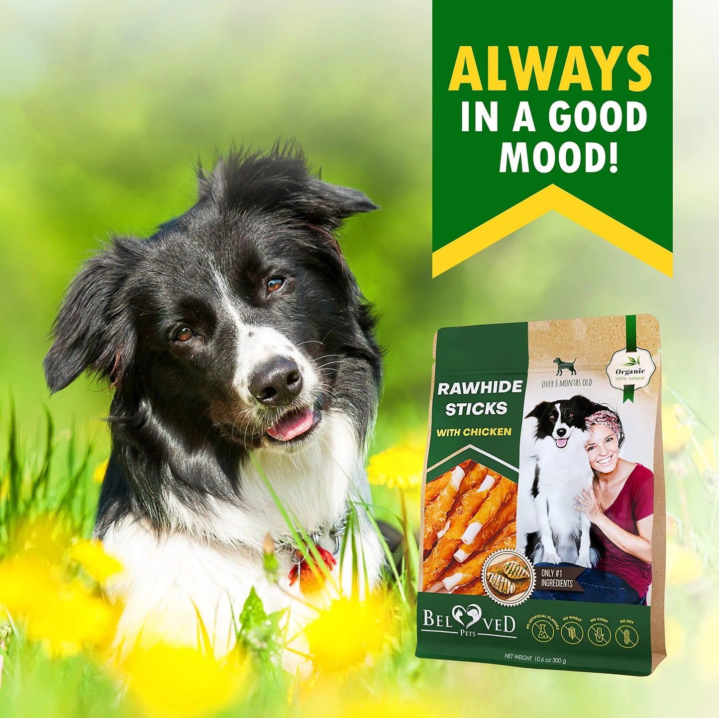Natural Rawhide Sticks Wrapped with Chicken – Grain-Free Dog Chew Treats