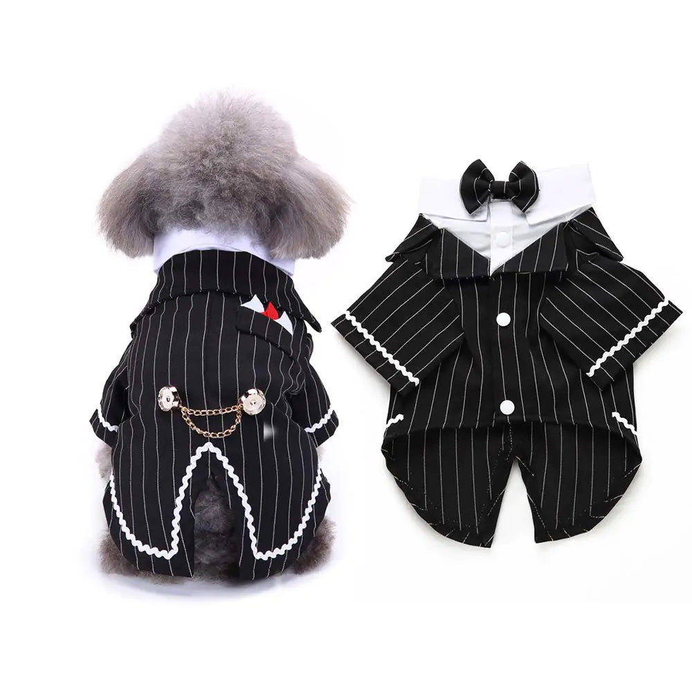 Formal Pet Tuxedo Suit – Classic Style for Dapper Dogs and Cats