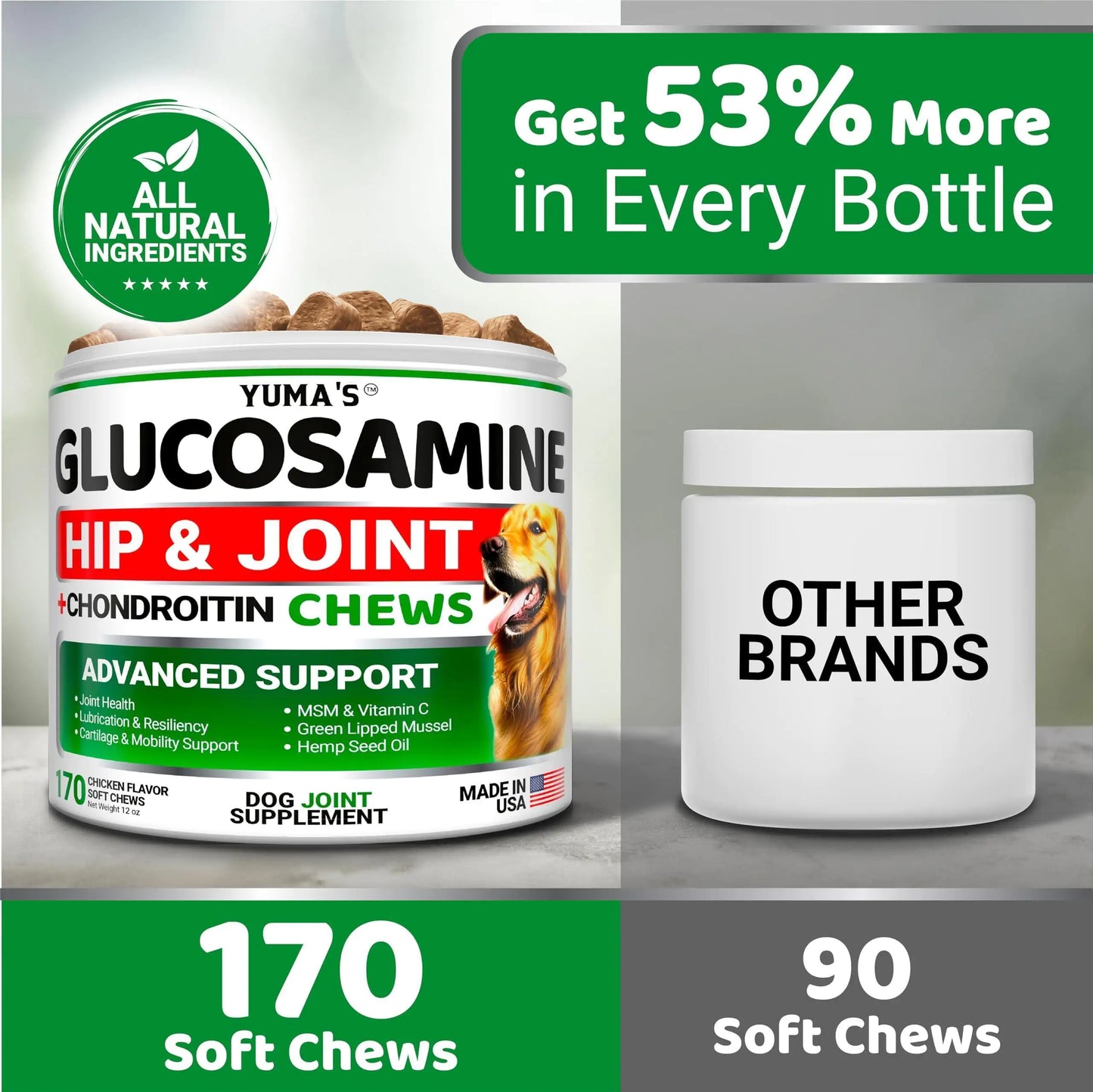 Hip & Joint Supplement for Dogs – Glucosamine, Chondroitin & MSM | 170 Chews