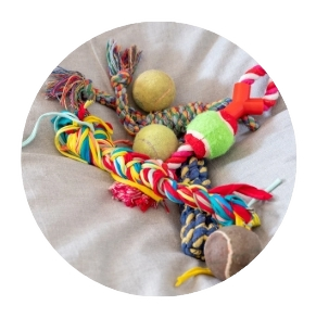 Pets Toys & Playthings