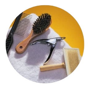 Grooming & Bathing