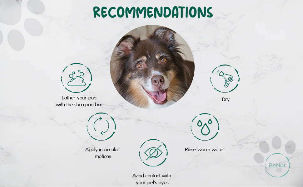 BeNat Pets All-Natural Oat Pet Shampoo Bar