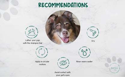 BeNat Pets All-Natural Oat Pet Shampoo Bar