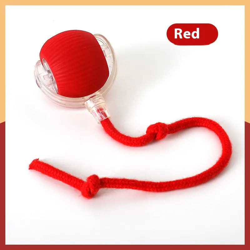 Smart Interactive Rolling Ball Toy for Cats | Motion & Sound Activated