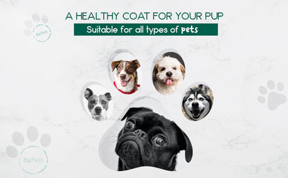 BeNat Pets All-Natural Oat Pet Shampoo Bar