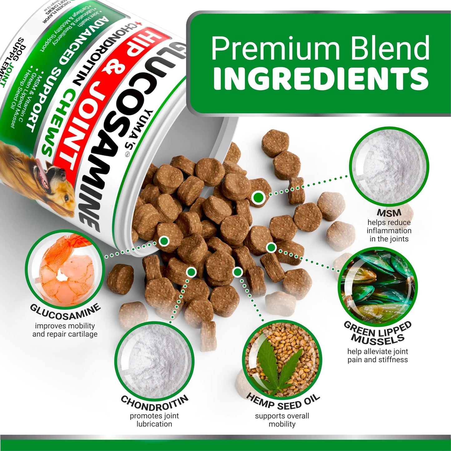 Hip & Joint Supplement for Dogs – Glucosamine, Chondroitin & MSM | 170 Chews