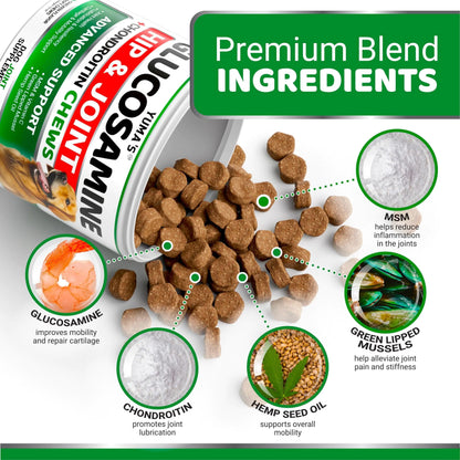 Hip & Joint Supplement for Dogs – Glucosamine, Chondroitin & MSM | 170 Chews