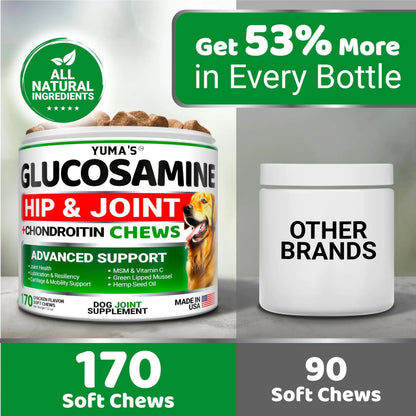 Hip & Joint Supplement for Dogs – Glucosamine, Chondroitin & MSM | 170 Chews