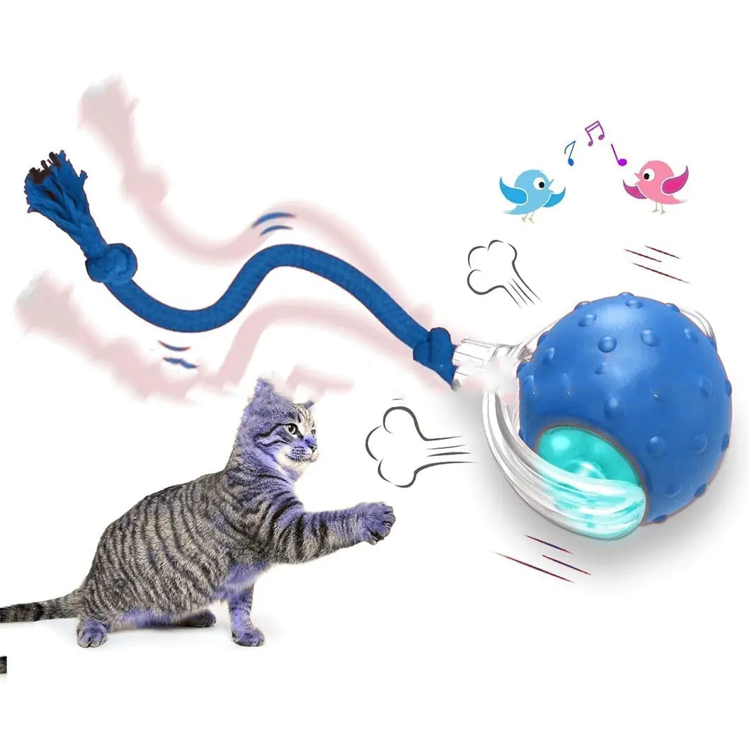Smart Interactive Rolling Ball Toy for Cats | Motion & Sound Activated