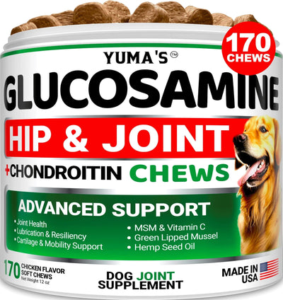 Hip & Joint Supplement for Dogs – Glucosamine, Chondroitin & MSM | 170 Chews